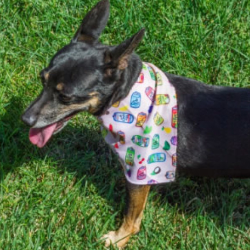 LA CROIX PINK PET BANDANA SMALL